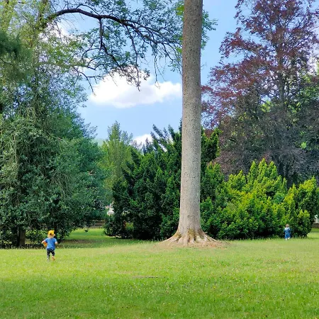 Casa de Férias Lancre / Maison Kids-friendly En Alsace *