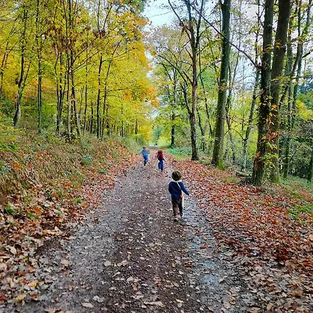 Lancre / Maison Kids-friendly En Alsace Casa de Férias Lutzelhouse